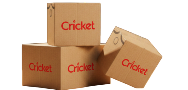 Cricket Lighter Carton